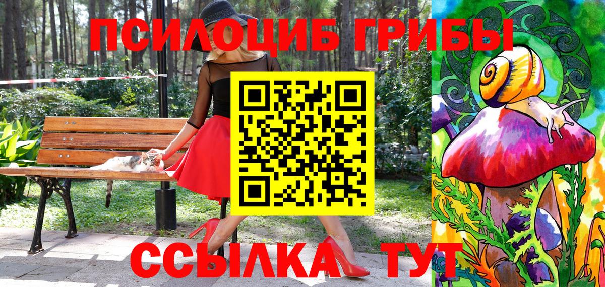 Галлюциногенные грибы Psilocybine cubensis Минусинск