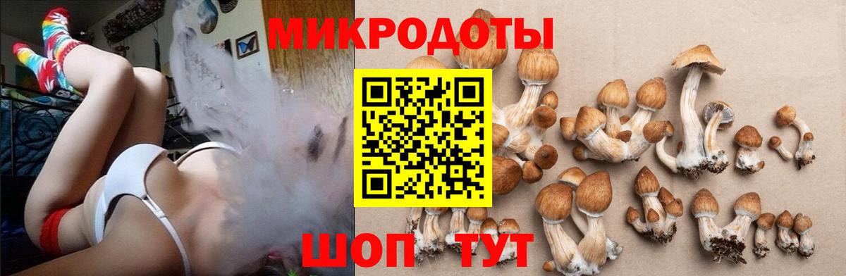 Минусинск  Галлюциногенные грибы MAGIC MUSHROOMS  наркотики  Вход с VPN 